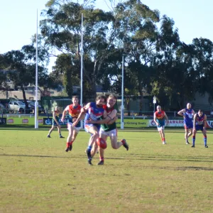 DSC_0600.JPG
