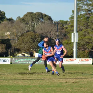 DSC_0646.JPG