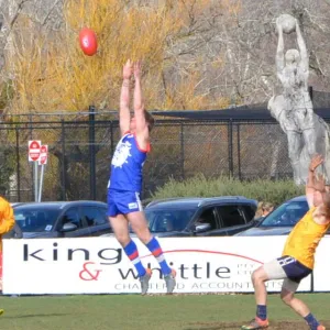 2018_08_12_round_10_ballarat_018.jpg