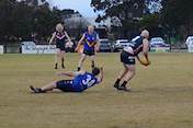 2026-round-7-south-coast-sharks-2993.jpg
